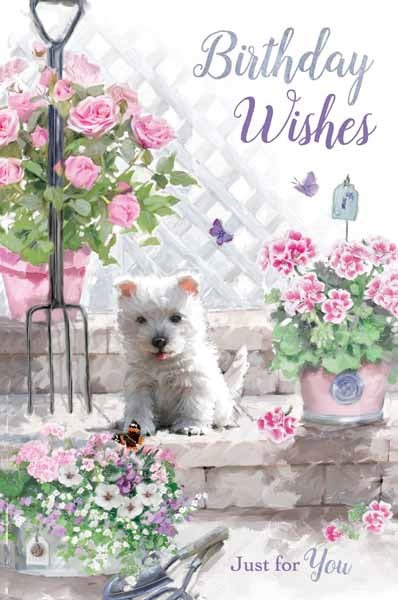 Birthday Wishes Just For You Birthday Card