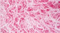 FSC Krystal Shredded Tissue 40 grams Pink