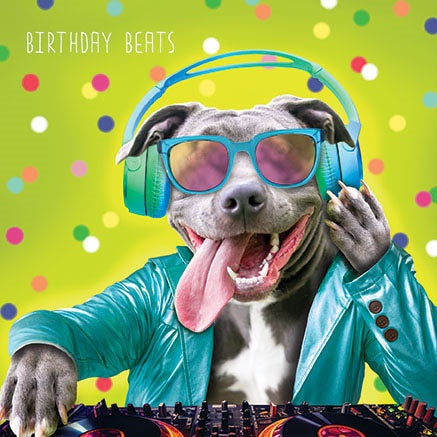 Birthday Beats Dog Birthday Card