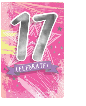 World Greetings Pink 17 With Silver Writting Celebrate Birthday Card