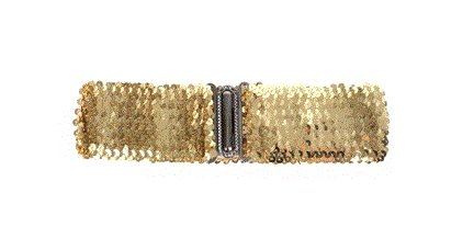 Gold Sequin Elastic Gold Belt