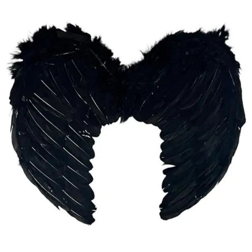 Wings Down 80x60cm Black