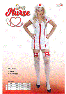 Sexy Nurse Costume