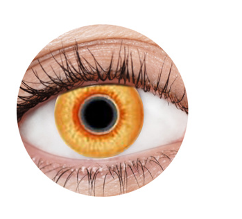 Supernatural Orange EyeFX Contact Lenses