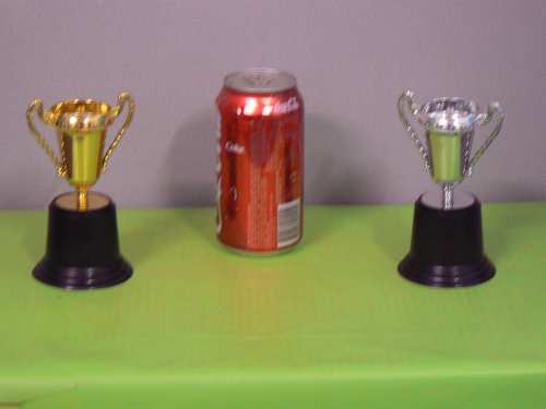 Small Silver Trophy