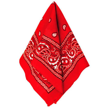 Red Bandana 54cm