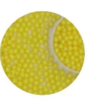 Pearly Yellow Sugar Pearls 4mm 56g