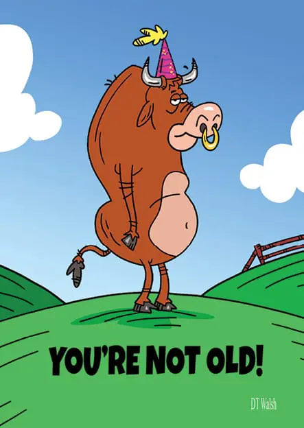 Steer You Birthday Card
