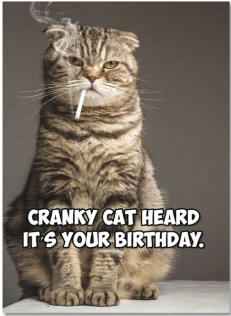 Cranky Cat heard it’s your birthday.