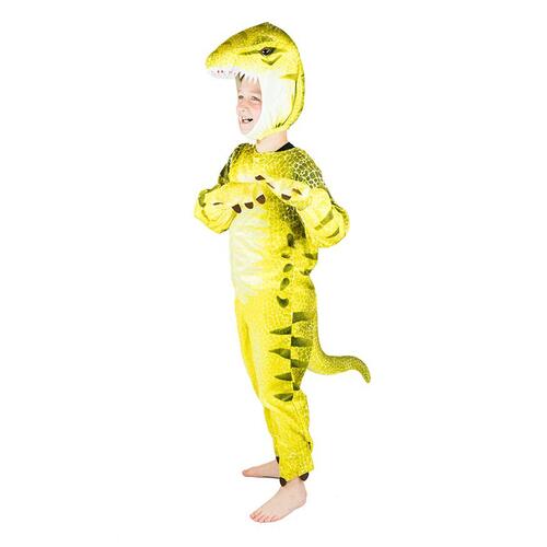 Children's Dragon Dinosaur Costume 5-6 Years