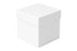 6X6X6 Inch Cake Box No Window