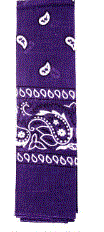 Bandana Purple