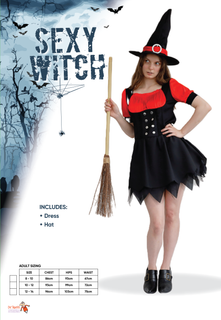 Sexy Witch Adult Costume Size 12-14