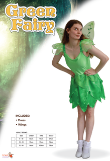 Green Fairy Adult Costume 10-12