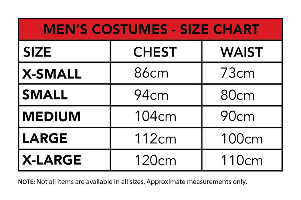 Adult Spider-Man Costume - Extra Small