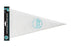 12 Inch 30cm CLEAR Disposable Piping Bags - 10Pieces Iconic Cake Art