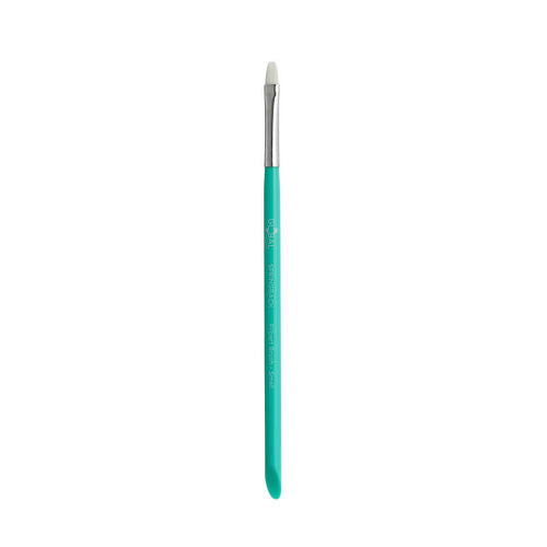 Double Filbert- Small Springback Brush