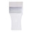 Global Colours Paddle 6.5cm Springback Brush with short white bristles and a clear acrylic handle