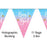 Bunting Boy or Girl Gender Reveal Holographic 11Flags 3.9mt