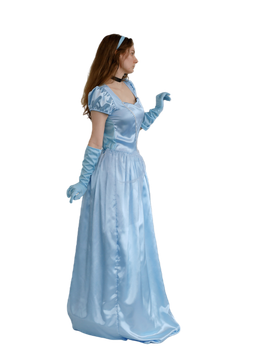 Fairytale Princess Adult Ball Gown - 8-10