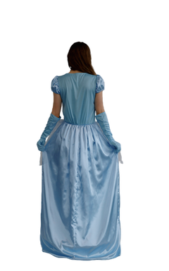 Fairytale Princess Adult Ball Gown - 8-10