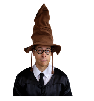 Brown Adult Sorting Hat