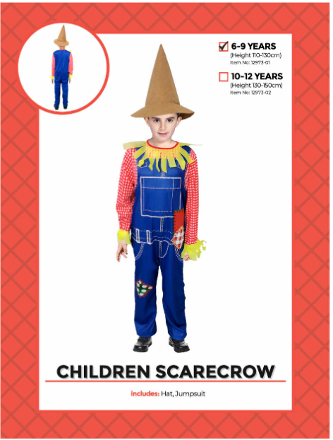 Children Scarecrow Costume 6-9 Years - blue jumpsuit with red checked shirt, yellow trim and pointed hat