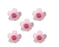 BULK BUY 200 Pack Blossoms Pink Small Sugar Flowers for cake and cupcake decorating