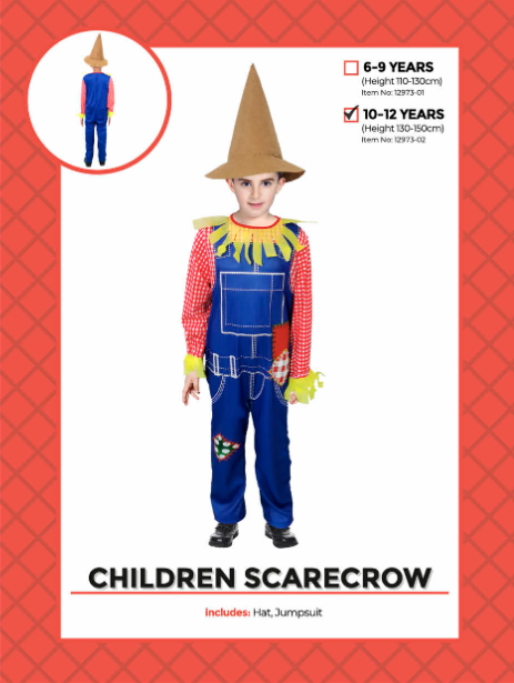Children Scarecrow Costume 10-12 Years - blue jumpsuit with red checked shirt, yellow trim and pointed hat