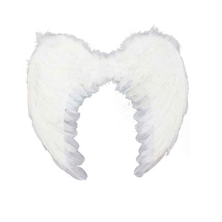 Wings Down 55x38cm White