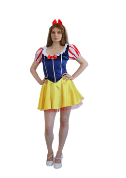 Sexy Fairytale Adult Dress 10-12