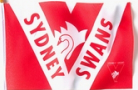 Sydney Flag Large Collectors Edition