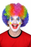 Clown Wig - Multi Coloured