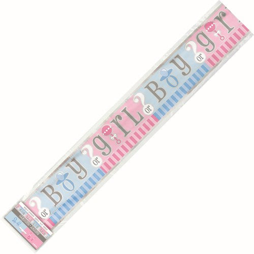 Baby Reveal Baby Shower Foil Banner 3.65m