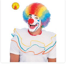 Clown Rainbow Wig