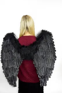 Angel Wings Feather