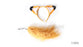 Fox Kit 2 Piece Set