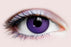 Phantom/Purple Contact Lenses