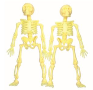 Favour Skeleton 2Pack