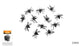 Black Spiders Plastic Pack Of 12