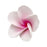 Frangipani Large Pink