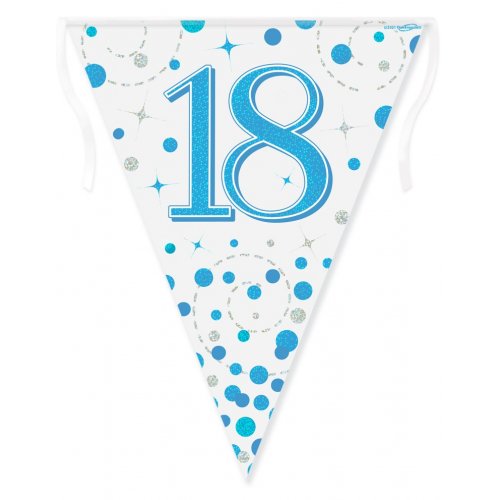Sparkling Fizz Blue and Silver Flag Bunting