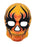 Day of The Dead Black Flame Face Mask