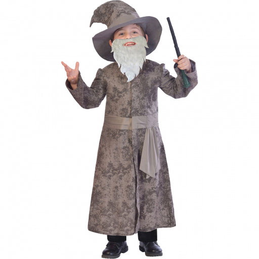 Wise Wizard Kids Costume
