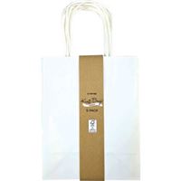 Medium White Kraft Gift Bag 5pk