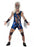 Zombie Wrestler Costume