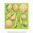 Shell Silicone Mould