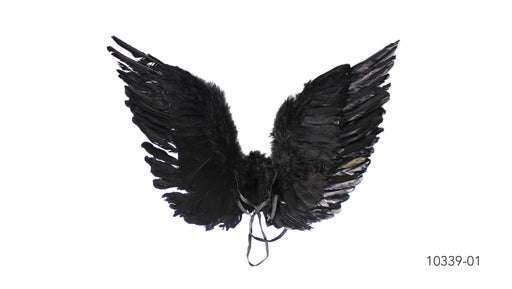 Angel Wings Feathered Black