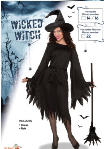 Wicked Witch Adult Costume Plus Size