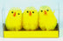 Easter Chicken 3 Pack